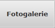 Fotogalerie