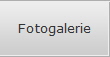 Fotogalerie