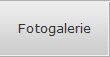 Fotogalerie